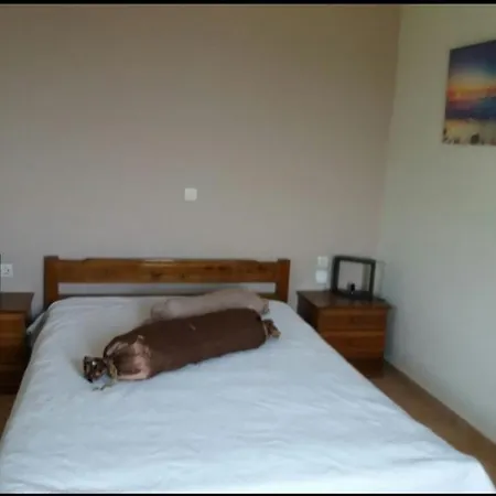 4-anthoula's Cozy, Sunny 펜션 *
