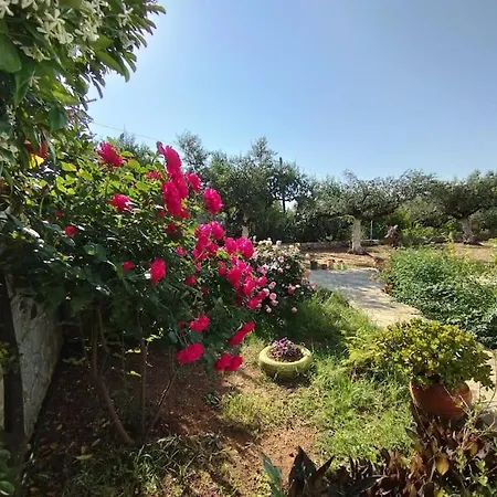 4-anthoula's Cozy, Sunny